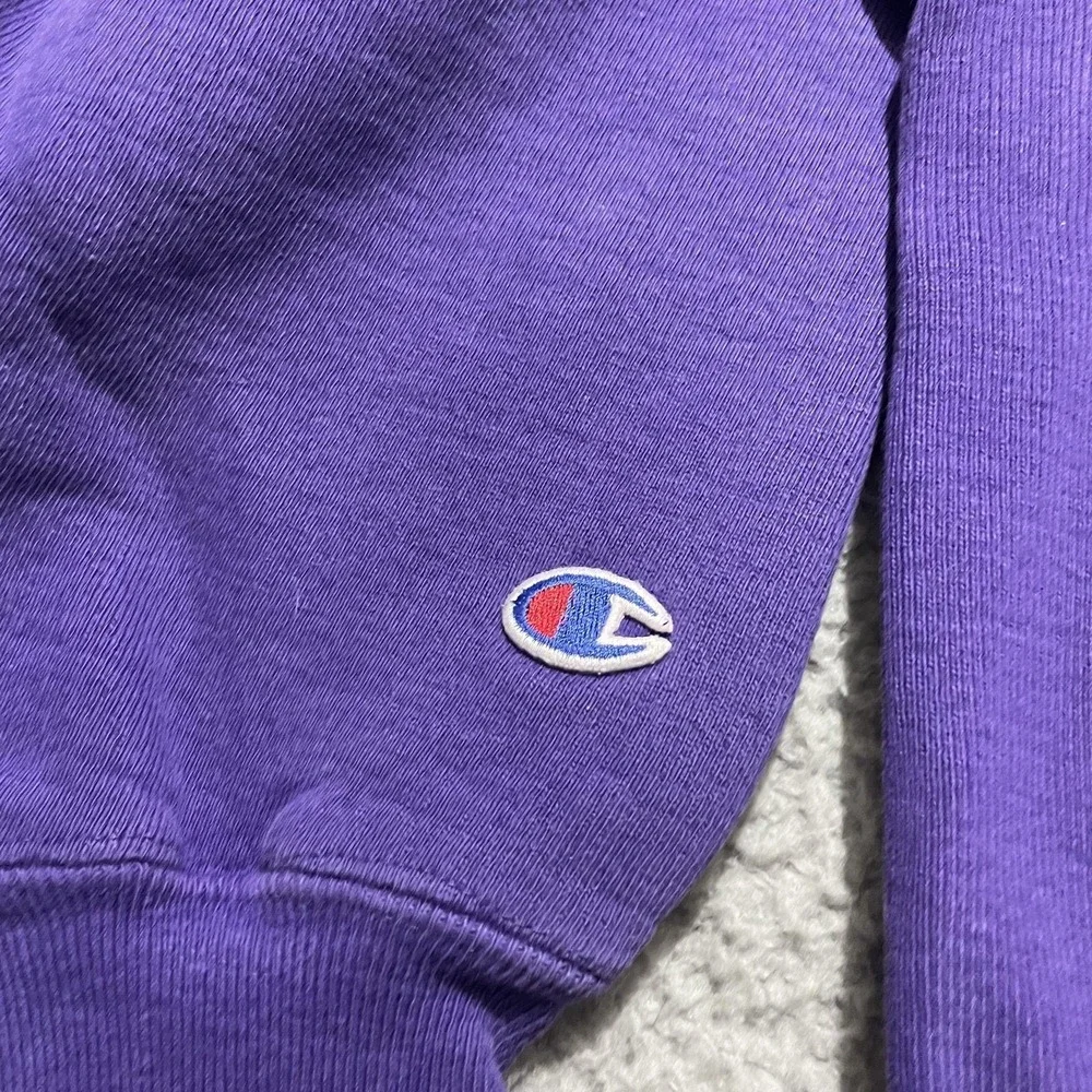 Champion vintage minnesota